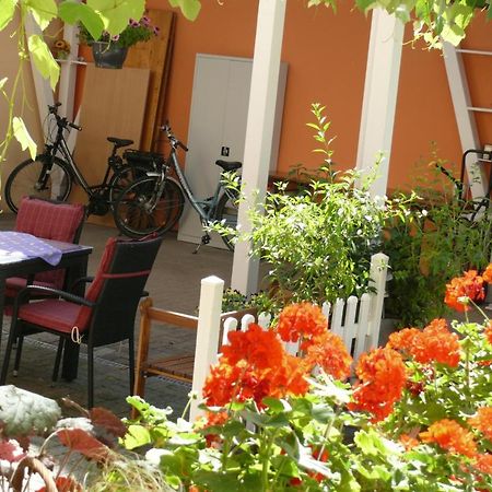 Gaestehaus Herbert Kappes Zeltingen-Rachtig Dış mekan fotoğraf